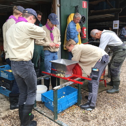 Open dag de Schaapskooi