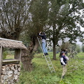 IMG 7957