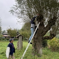 IMG 7958